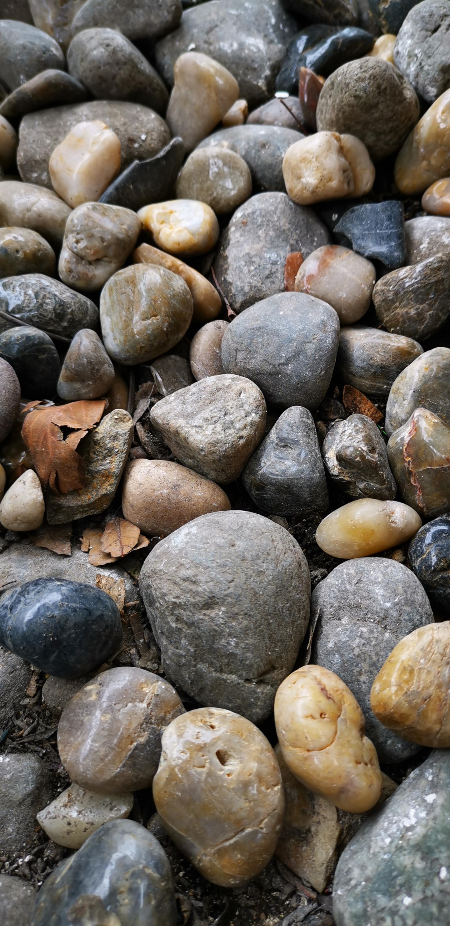 Kieselstein, Natur, BedRock, Rock, Kopfsteinpflaster. Wallpaper in 1440x2960 Resolution