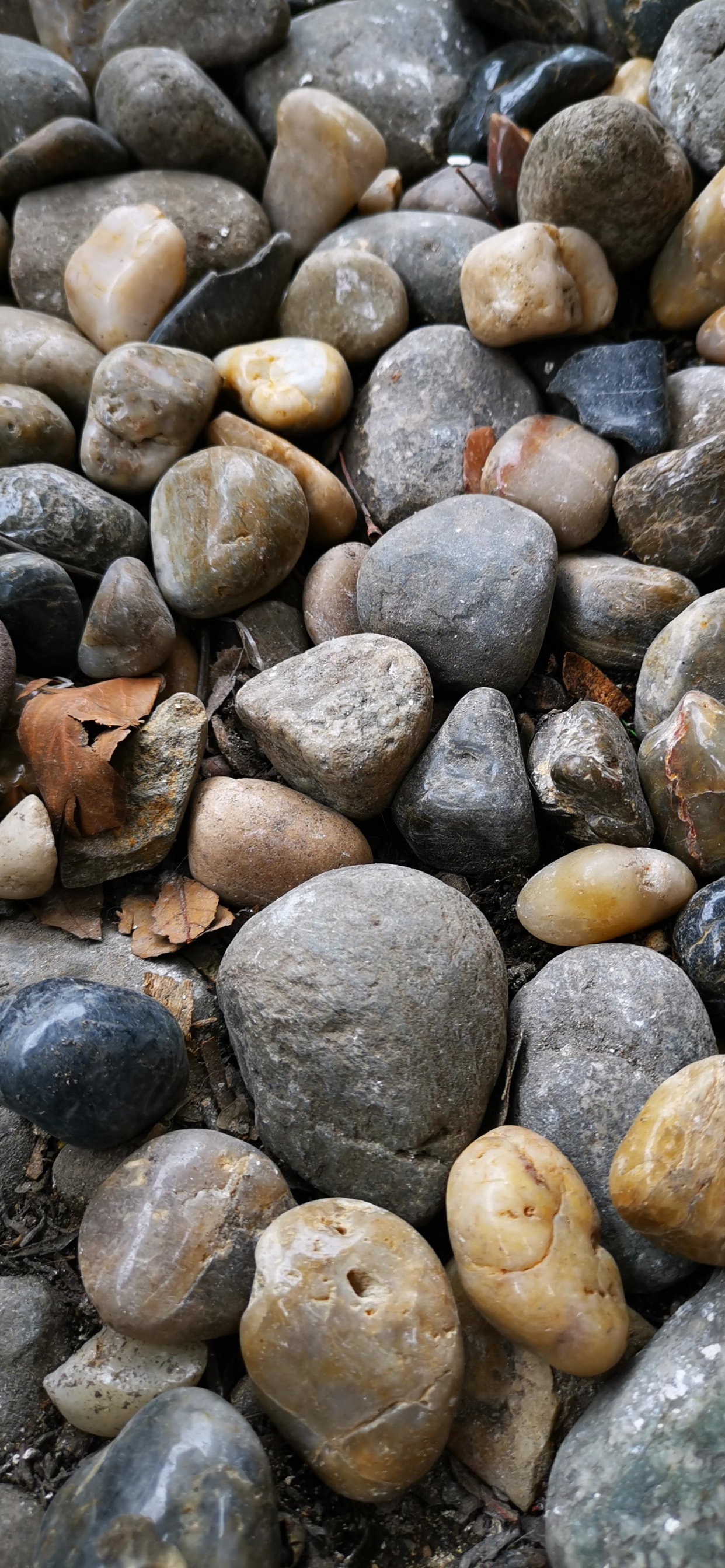 Pebble, Nature, Bedrock, Building Material, Rock. Wallpaper in 1242x2688 Resolution