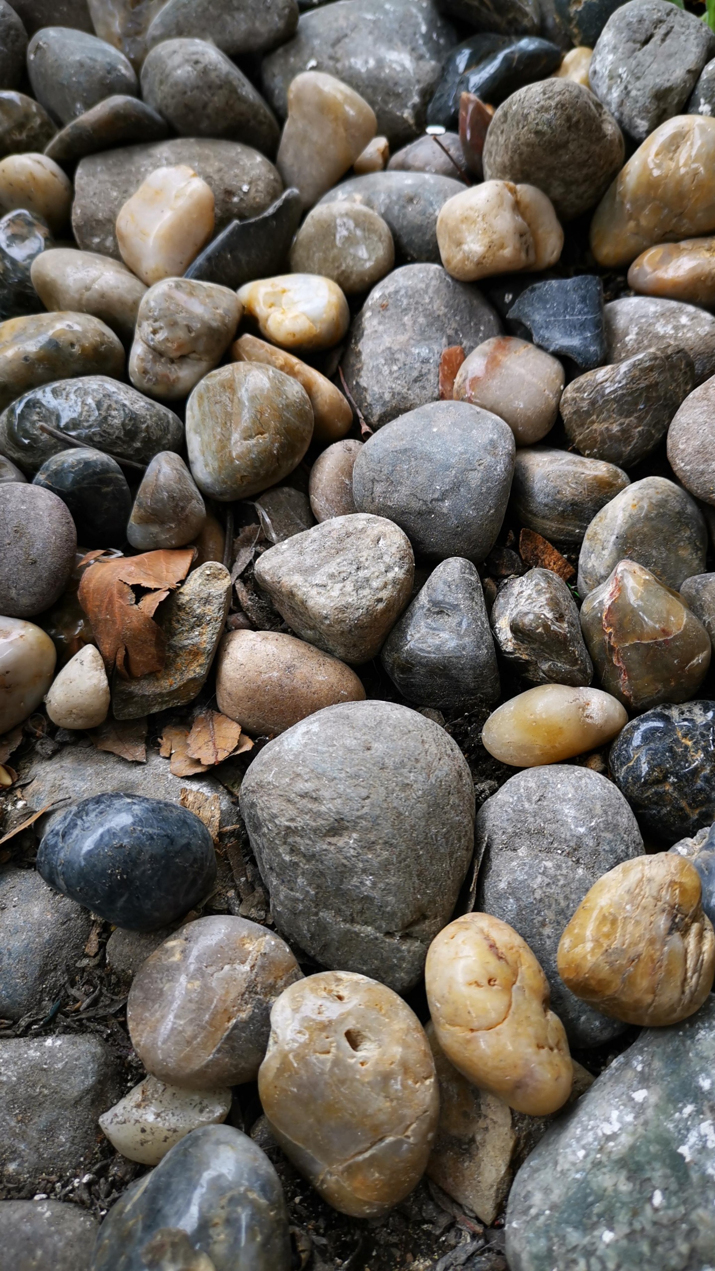 Pebble, Nature, Bedrock, Building Material, Rock. Wallpaper in 1440x2560 Resolution