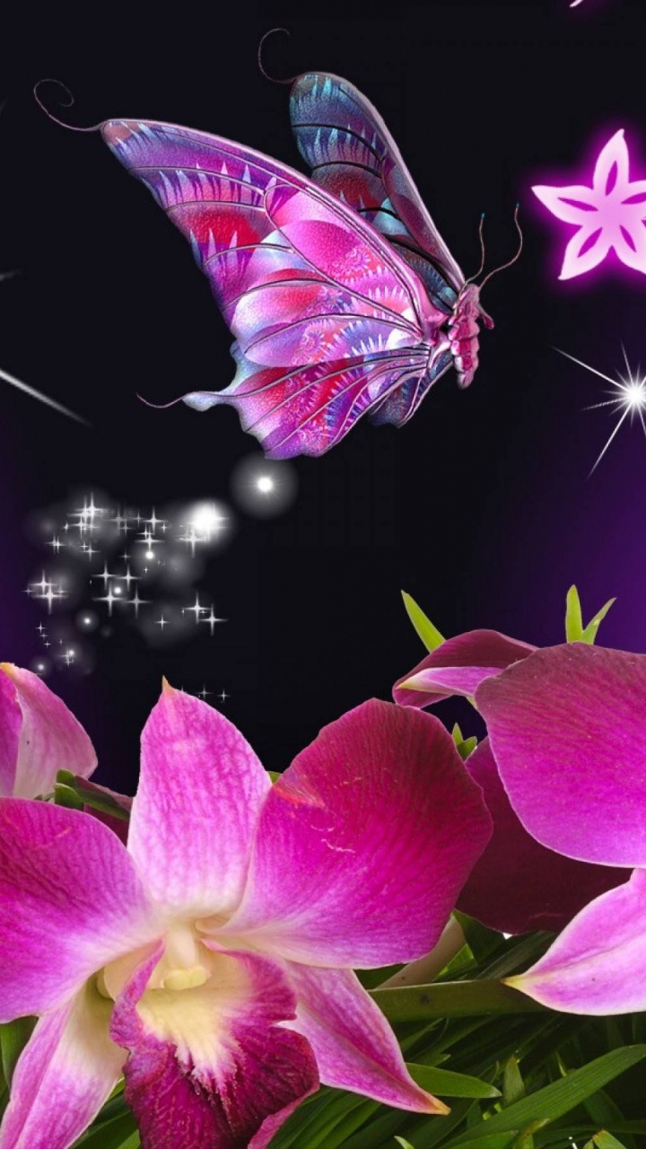 Purple and White Moth on Purple Flower. Wallpaper in 720x1280 Resolution