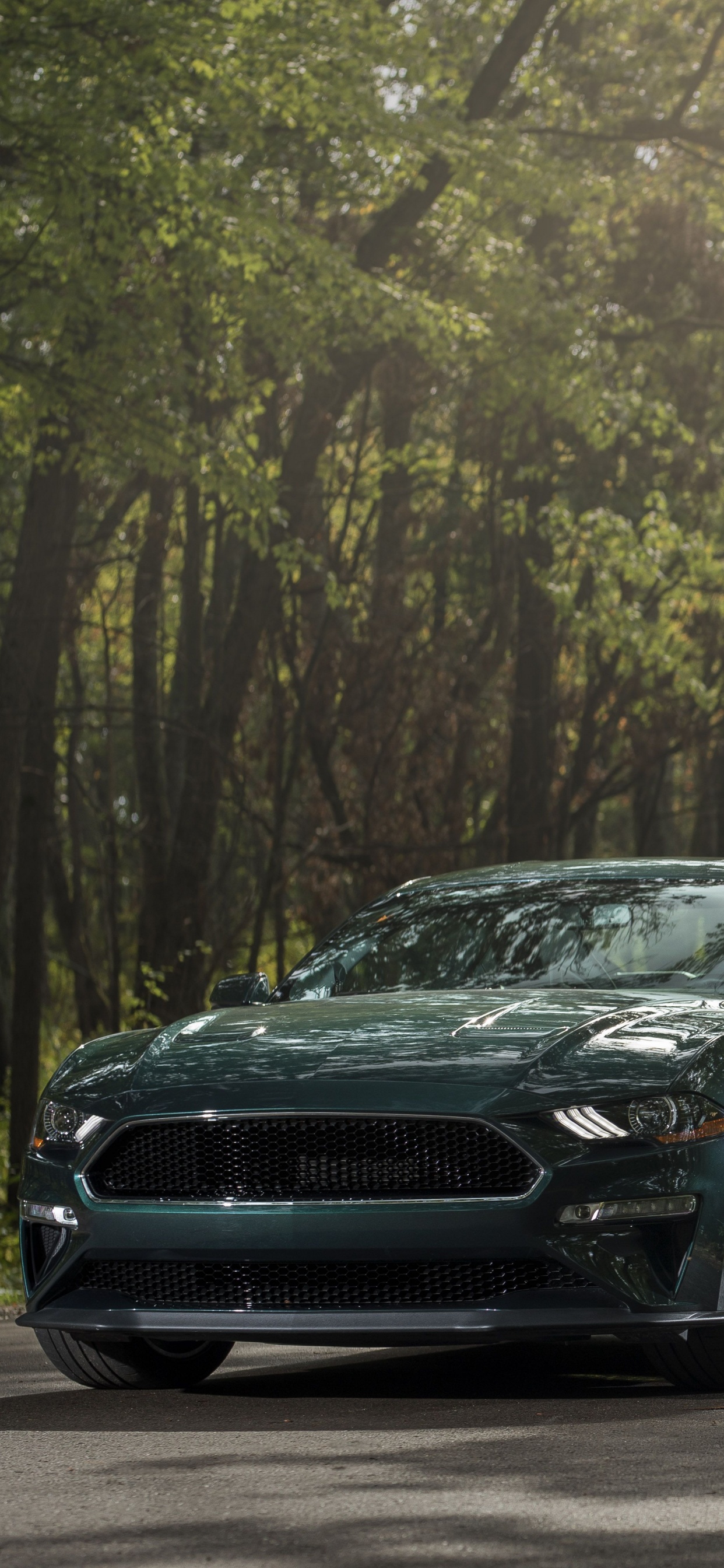 谢尔比野马, 2019福特野马BULLITT, 福特, Rim, 轮胎 壁纸 1242x2688 允许