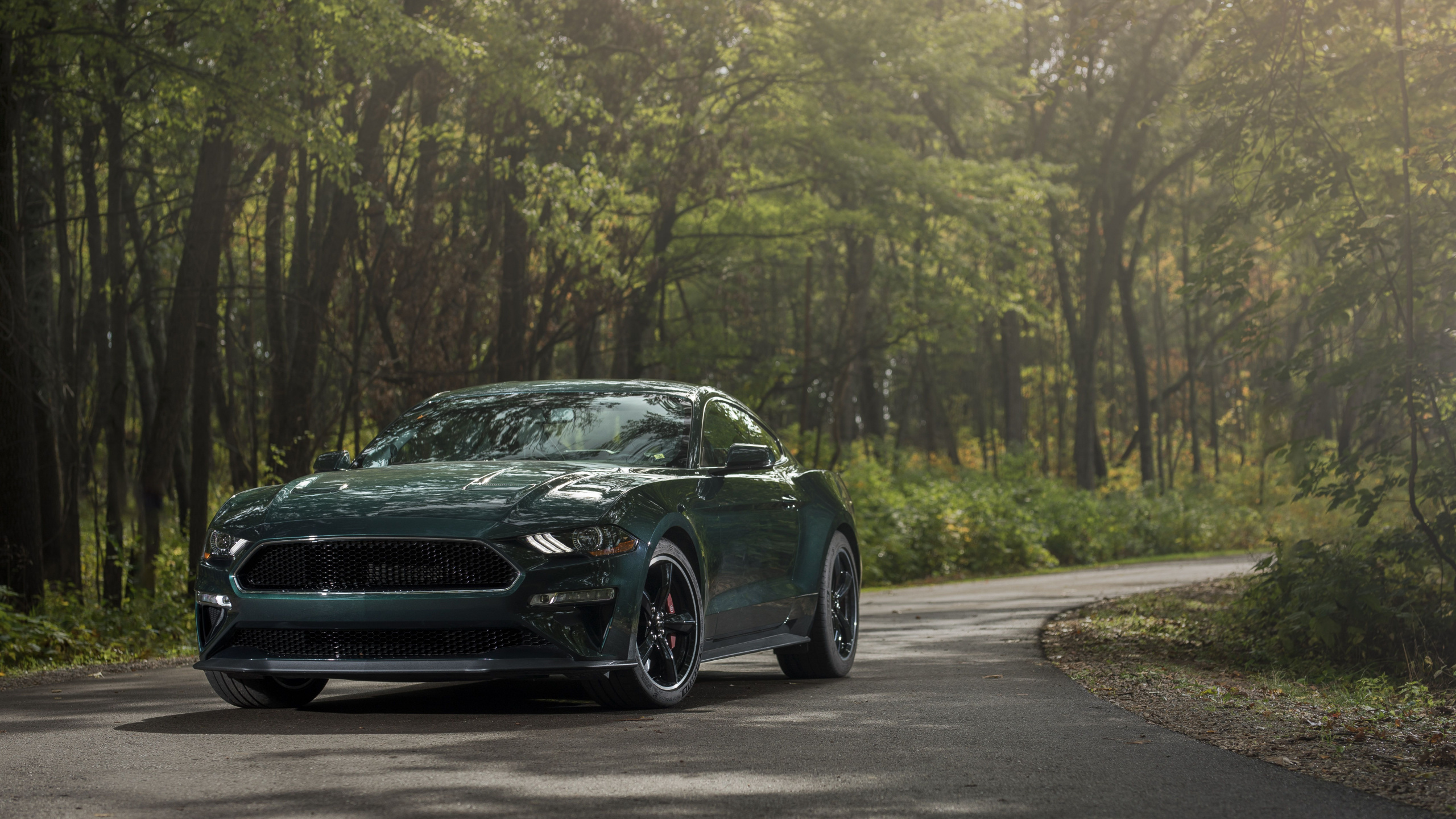 谢尔比野马, 2019福特野马BULLITT, 福特, Rim, 轮胎 壁纸 2560x1440 允许