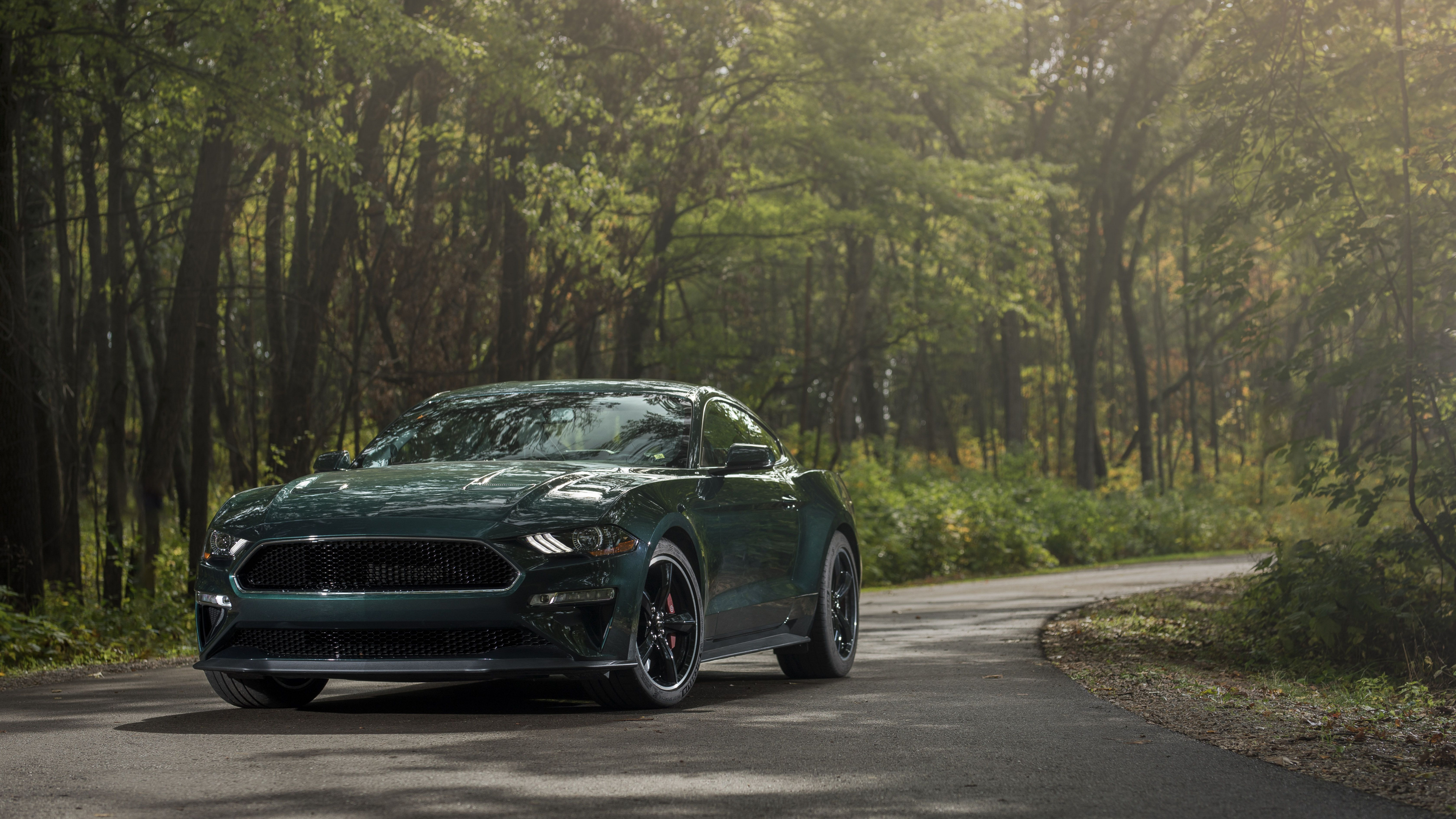 谢尔比野马, 2019福特野马BULLITT, 福特, Rim, 轮胎 壁纸 3840x2160 允许