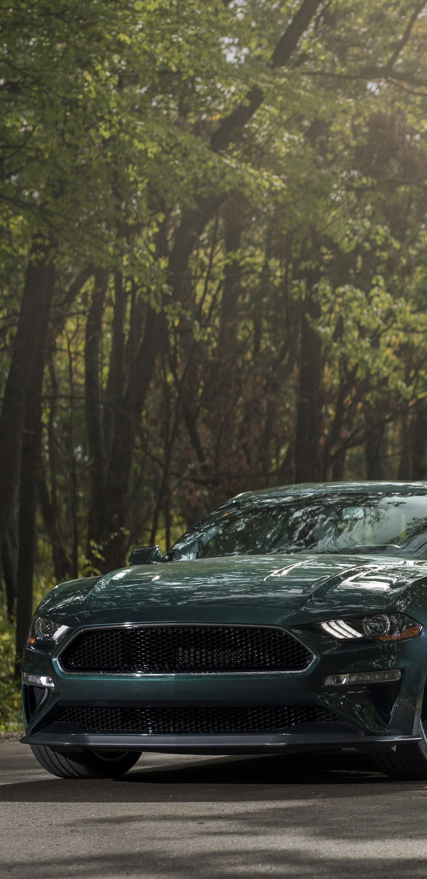 Sedán Negro en la Carretera Entre Árboles Durante el Día. Wallpaper in 1440x2960 Resolution