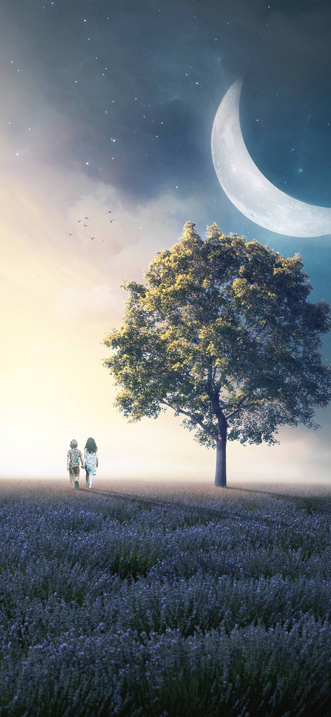 Smartphone, Affiche, Atmosphère, L'écorégion, Lumière. Wallpaper in 1125x2436 Resolution