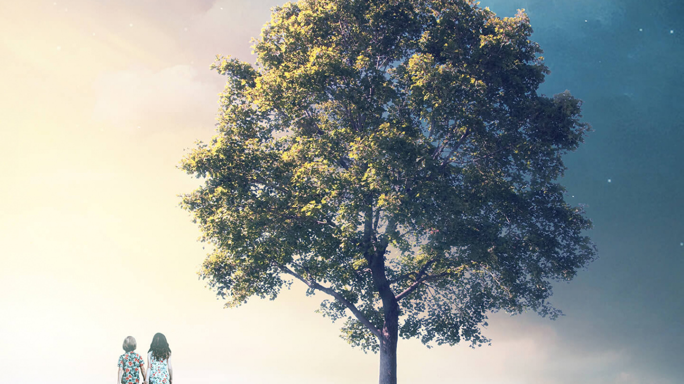 Smartphone, Poster, Plant, Atmosphere, Ecoregion. Wallpaper in 1366x768 Resolution