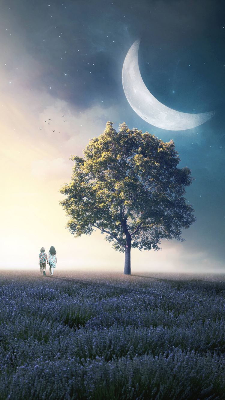 Smartphone, Poster, Plant, Atmosphere, Ecoregion. Wallpaper in 750x1334 Resolution