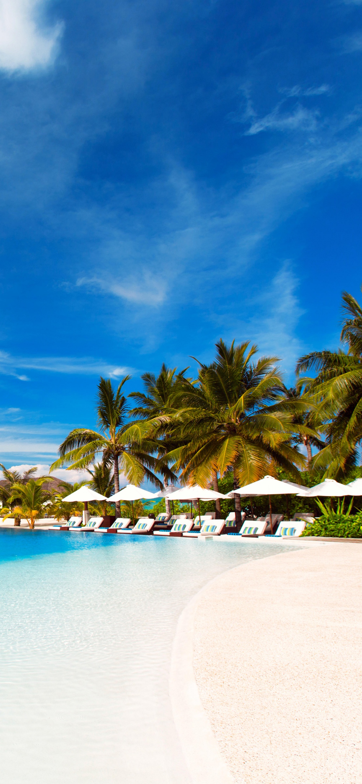 Palm Trees on Beach Shore Under Blue Sky During Daytime. Wallpaper in 1242x2688 Resolution