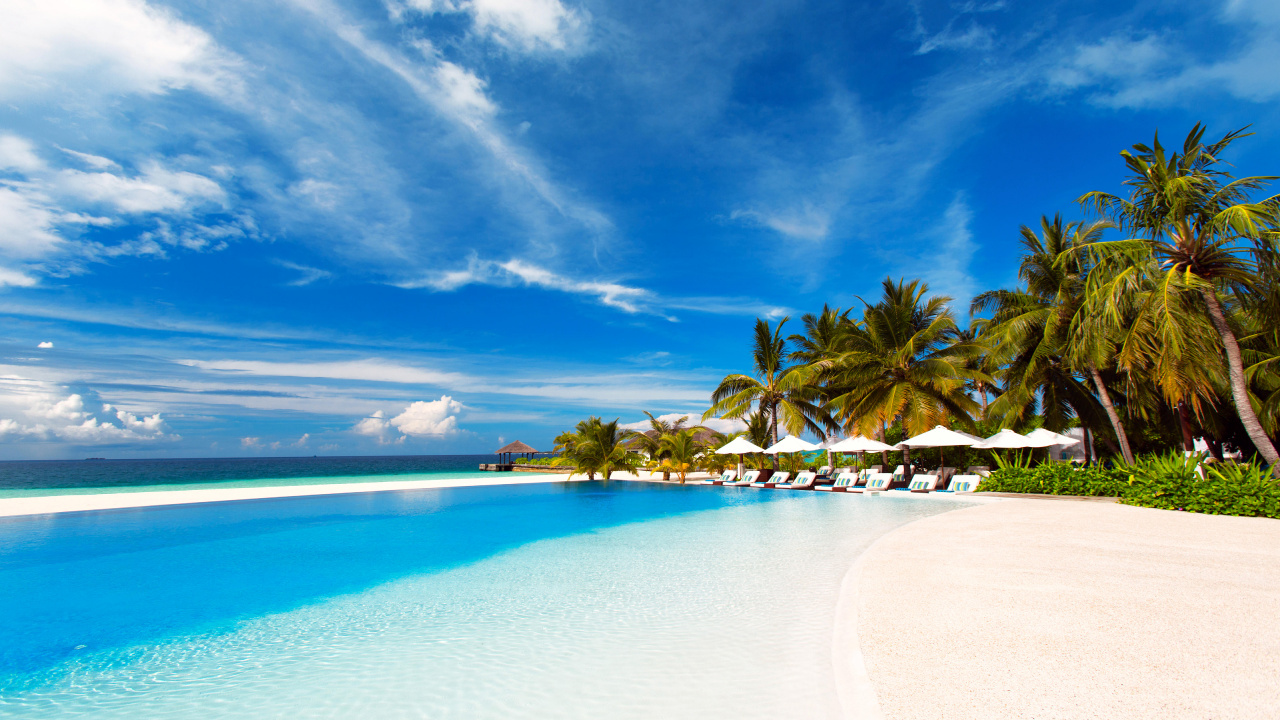 Palm Trees on Beach Shore Under Blue Sky During Daytime. Wallpaper in 1280x720 Resolution