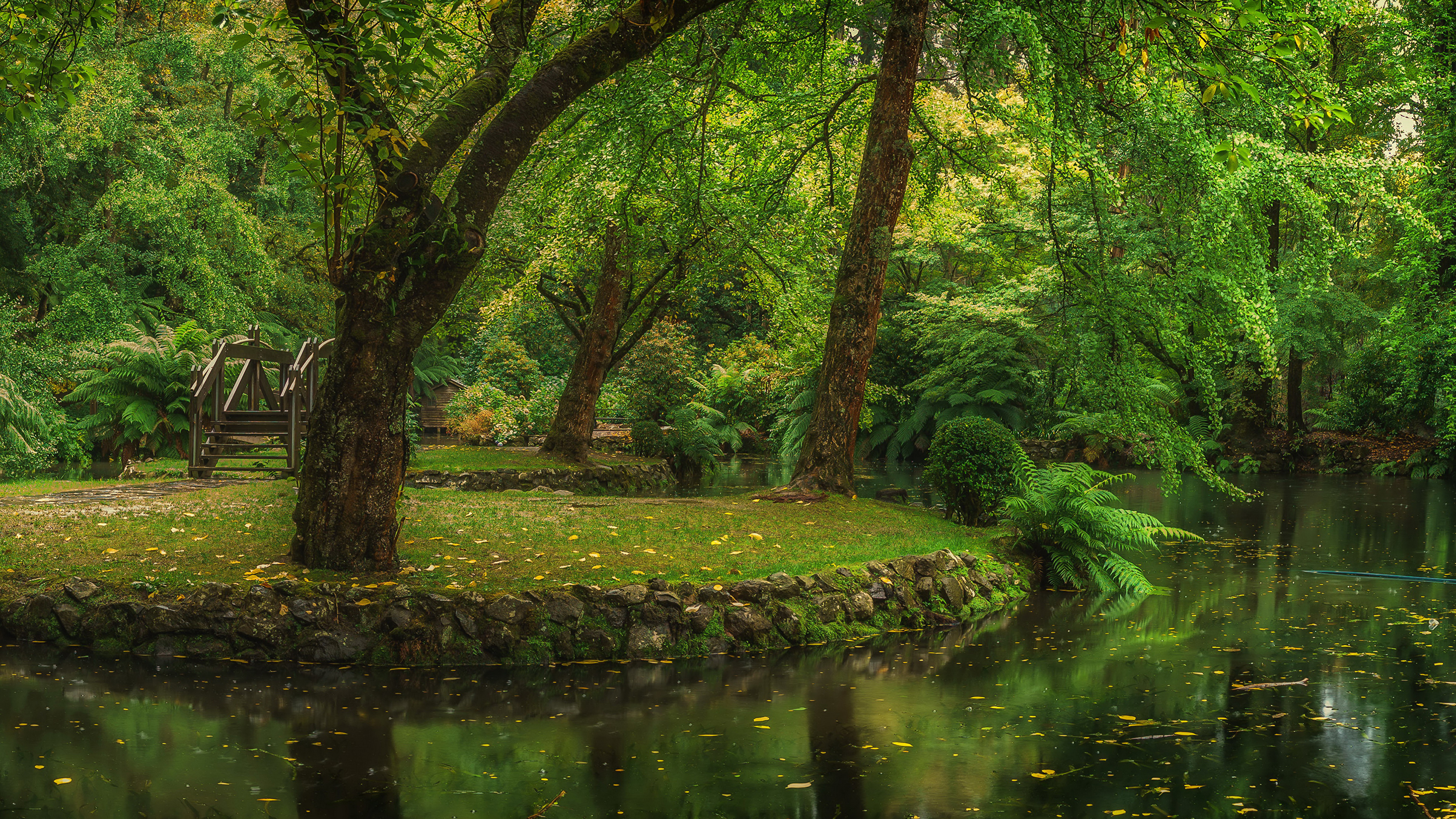 Green Grass and Trees Beside River During Daytime. Wallpaper in 3840x2160 Resolution