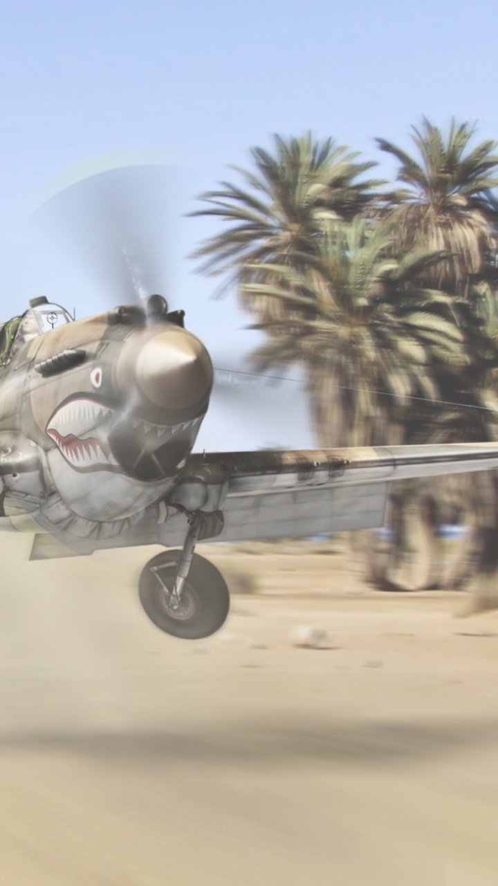 Graues Und Schwarzes Kampfflugzeug Auf Braunem Feld Tagsüber. Wallpaper in 720x1280 Resolution