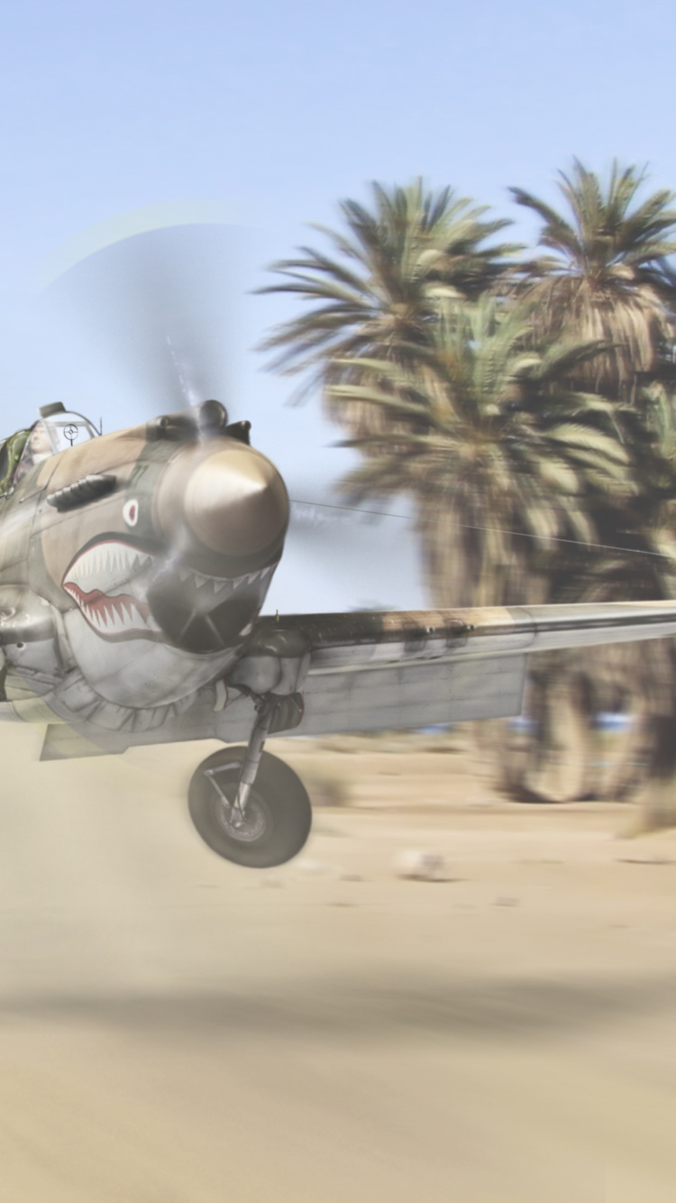 Gray and Black Fighter Plane on Brown Field During Daytime. Wallpaper in 750x1334 Resolution