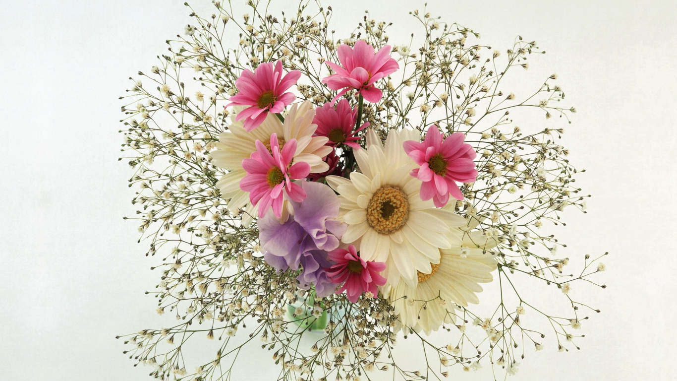 Weiße Und Violette Blumen Auf Weißem Tisch. Wallpaper in 1366x768 Resolution