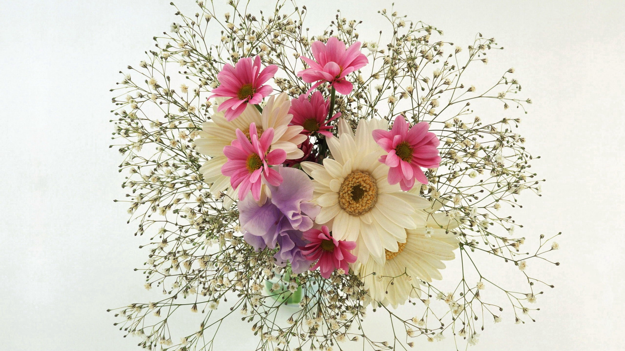 White and Purple Flowers on White Table. Wallpaper in 1280x720 Resolution