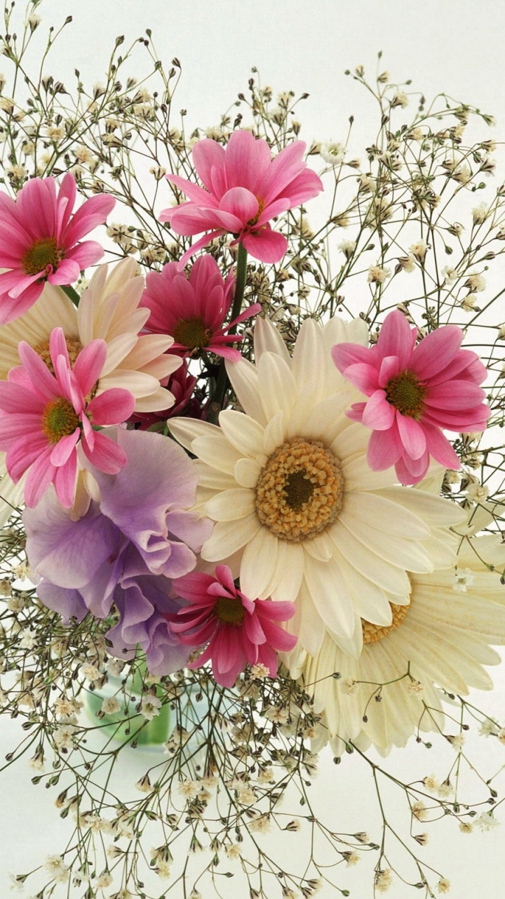 Flores Blancas y Moradas en la Mesa Blanca. Wallpaper in 720x1280 Resolution