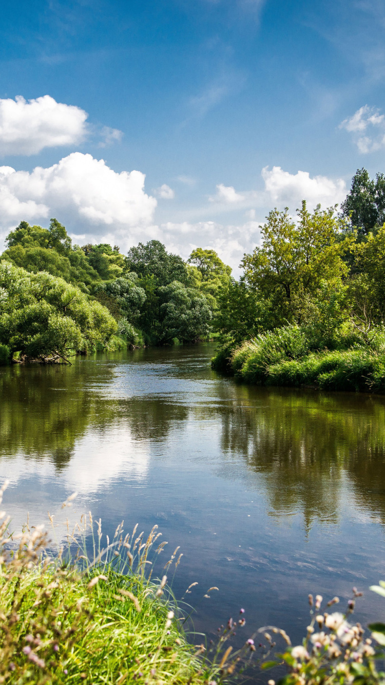 Grüne Bäume Neben Dem Fluss Unter Blauem Himmel Tagsüber. Wallpaper in 750x1334 Resolution