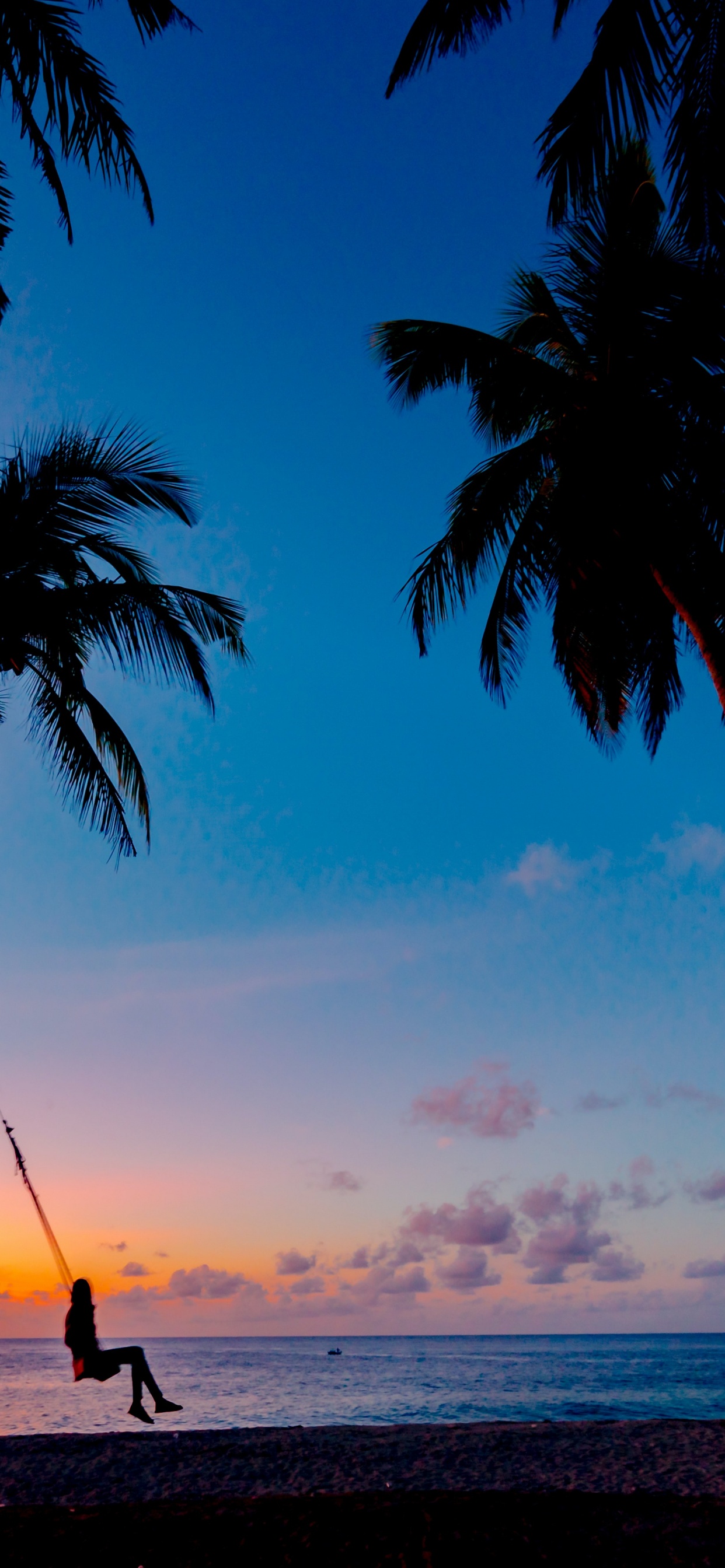 Cloud, Water, Plant, Light, Nature. Wallpaper in 1242x2688 Resolution