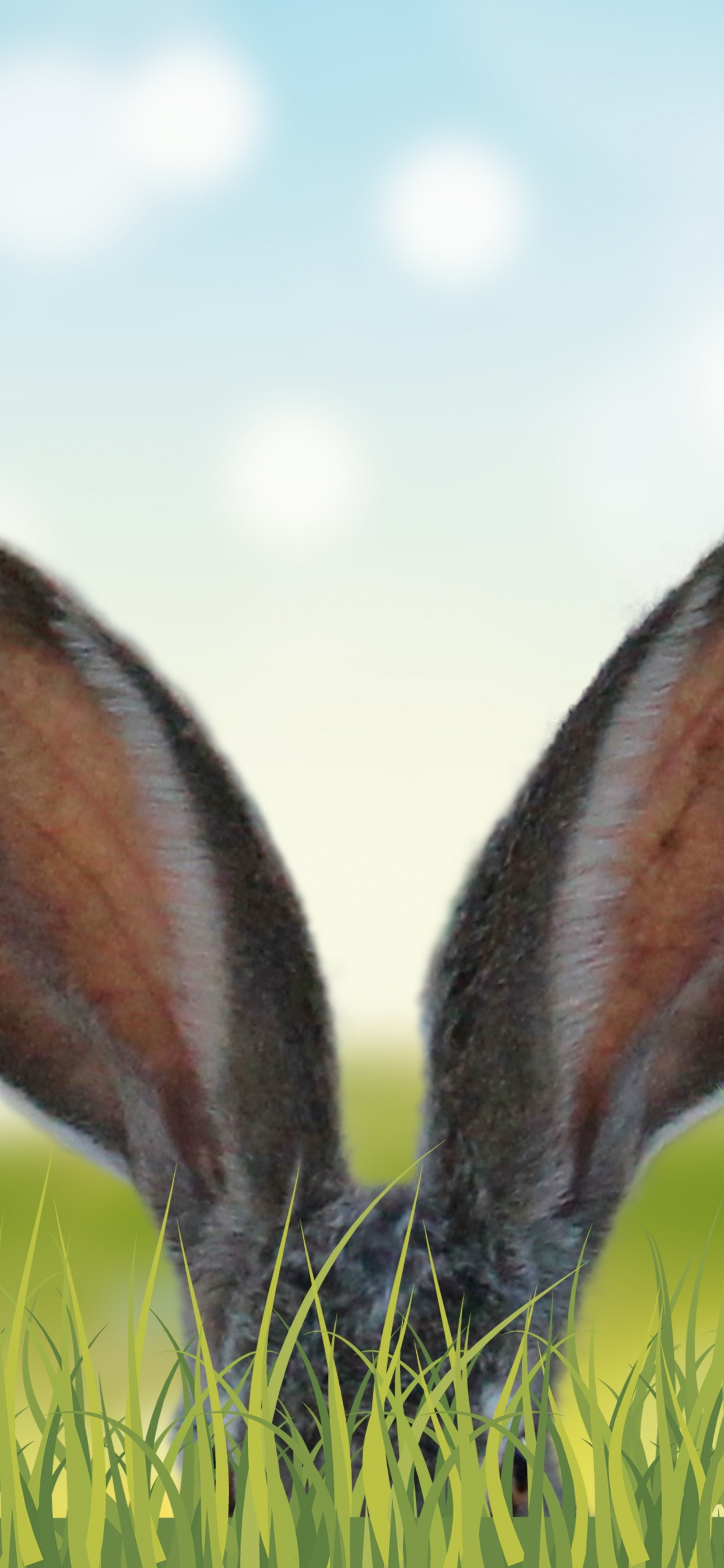 Lapin Gris Sur L'herbe Verte Pendant la Journée. Wallpaper in 1242x2688 Resolution