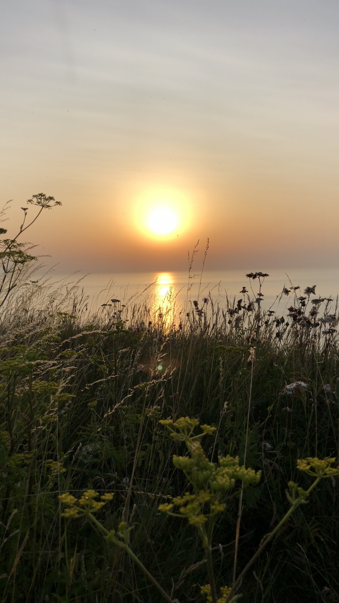 Soleil, Nature, Végétation, Paysage Naturel, Lever. Wallpaper in 1080x1920 Resolution