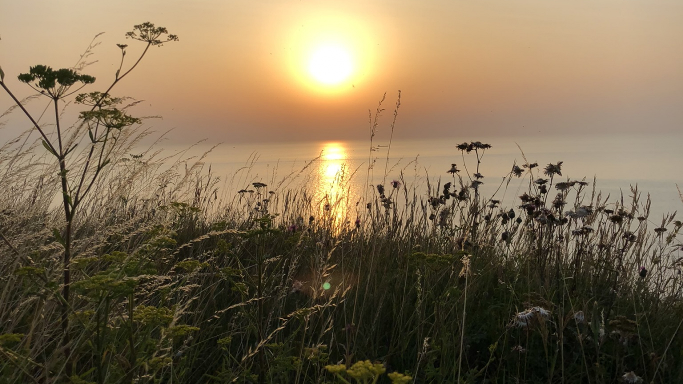 Sonne, Natur, Vegetation, Sonnenuntergang, Naturlandschaft. Wallpaper in 1366x768 Resolution