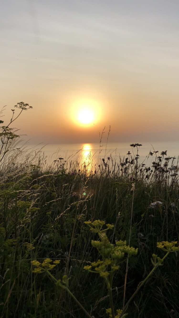 Sonne, Natur, Vegetation, Sonnenuntergang, Naturlandschaft. Wallpaper in 750x1334 Resolution