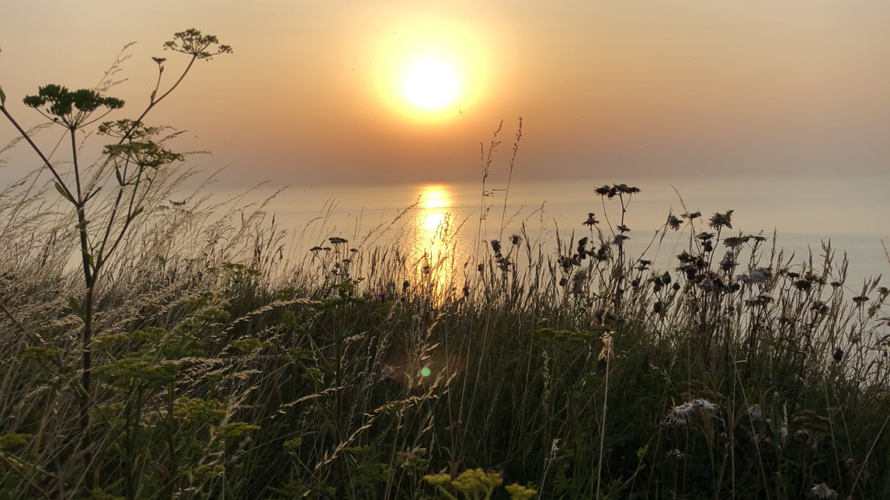 Sun, Nature, Vegetation, Sunset, Dusk. Wallpaper in 1280x720 Resolution