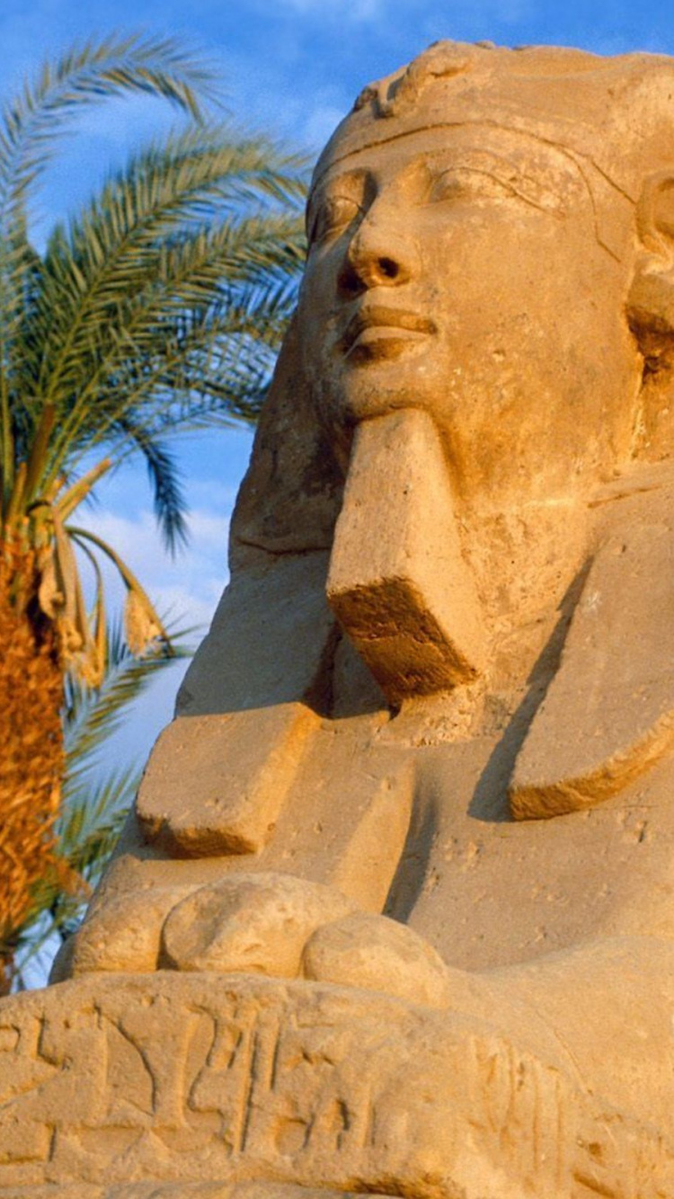 Brown Concrete Statue Near Green Palm Tree During Daytime. Wallpaper in 750x1334 Resolution