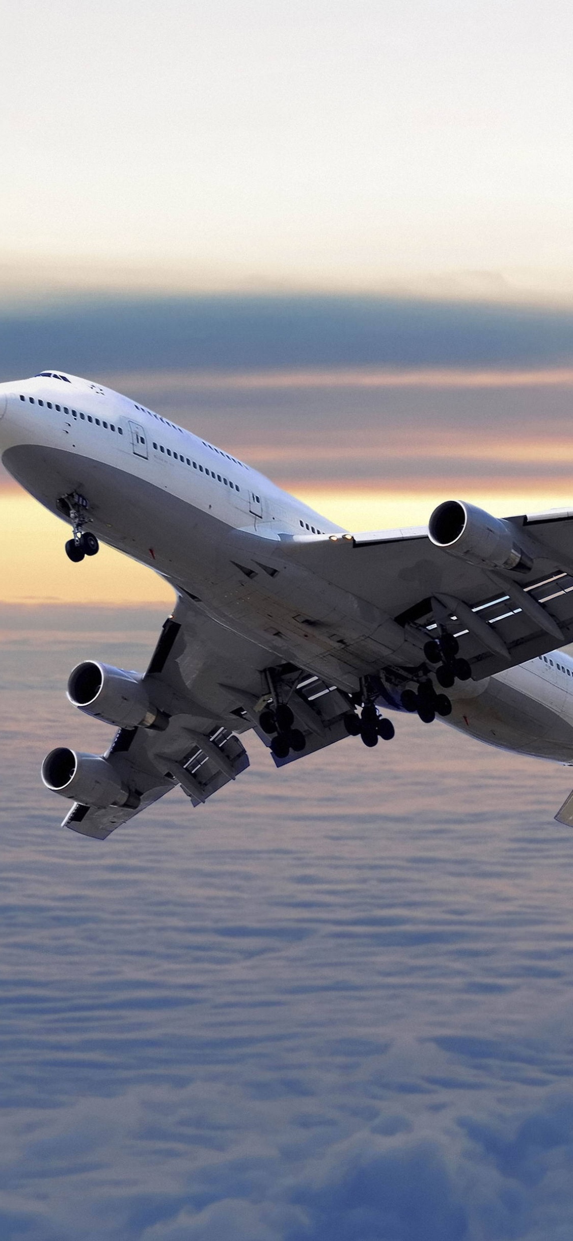 航班, 航空, 空中旅行, 航空公司, 客机 壁纸 1125x2436 允许