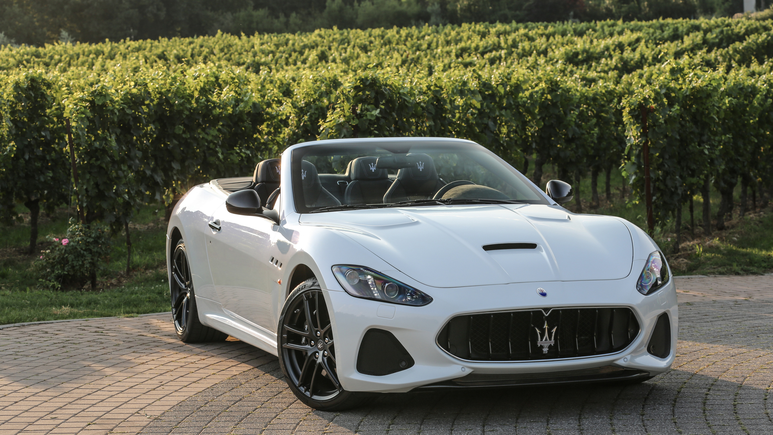 Porsche 911 Blanche Garée Sur un Sol en Brique Brune Pendant la Journée. Wallpaper in 2560x1440 Resolution