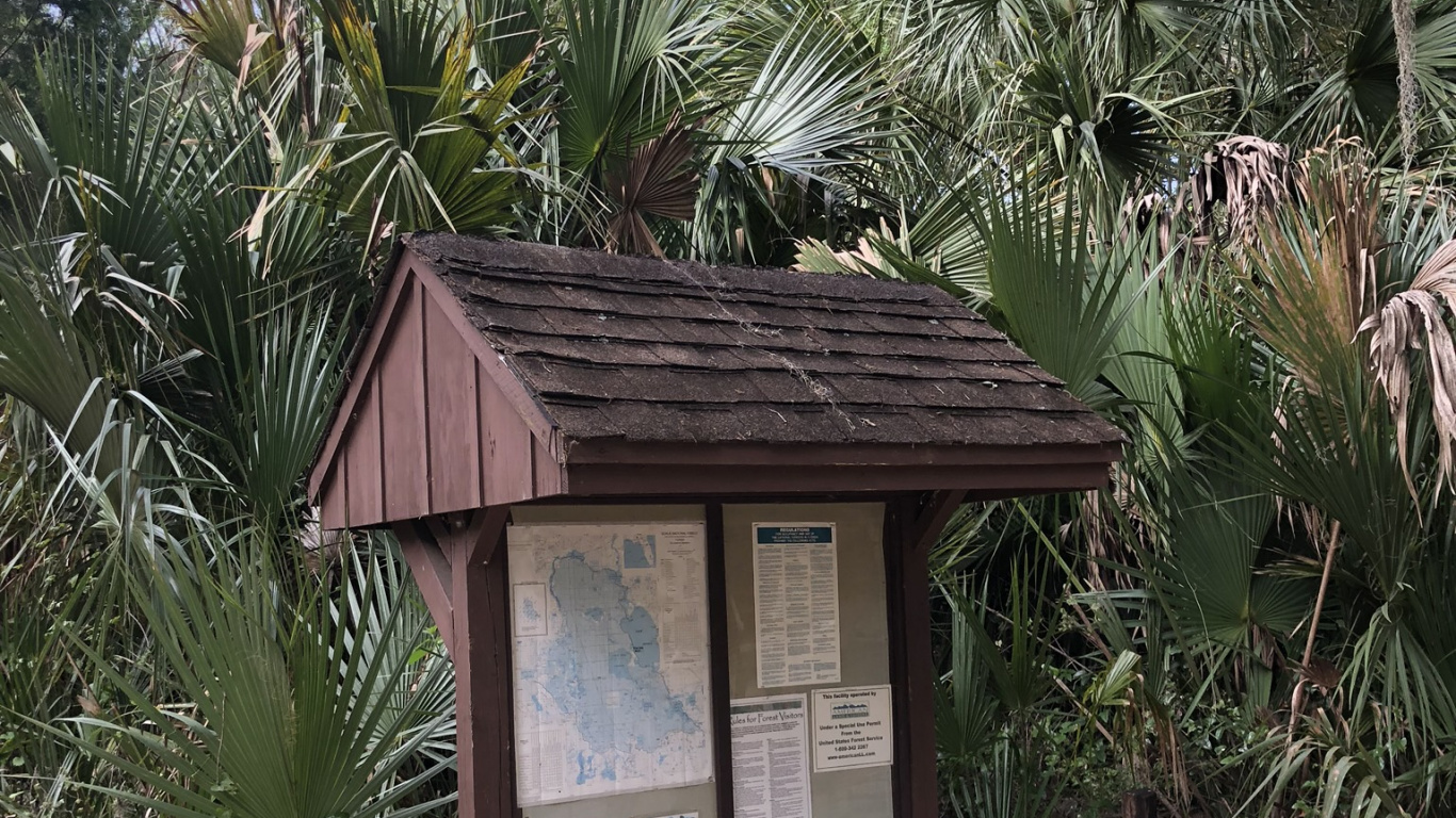 Palm Trees, Real Estate, Biology, Science, Woody Plant. Wallpaper in 1366x768 Resolution