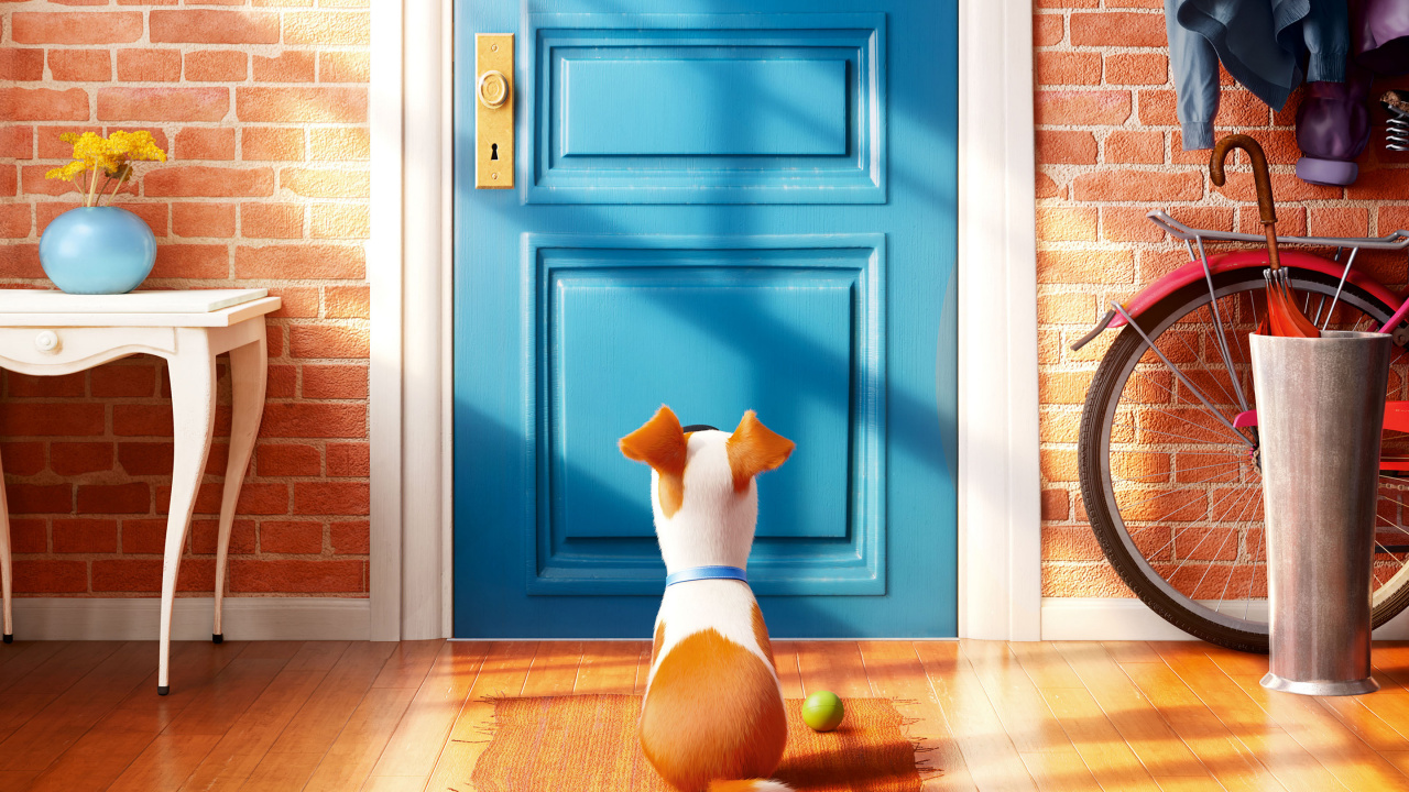 Braun-weißer Kurzhaariger Hund Sitzt Auf Braunem Holzboden. Wallpaper in 1280x720 Resolution