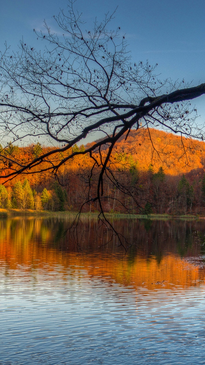 Green Grass Near Body of Water During Daytime. Wallpaper in 720x1280 Resolution