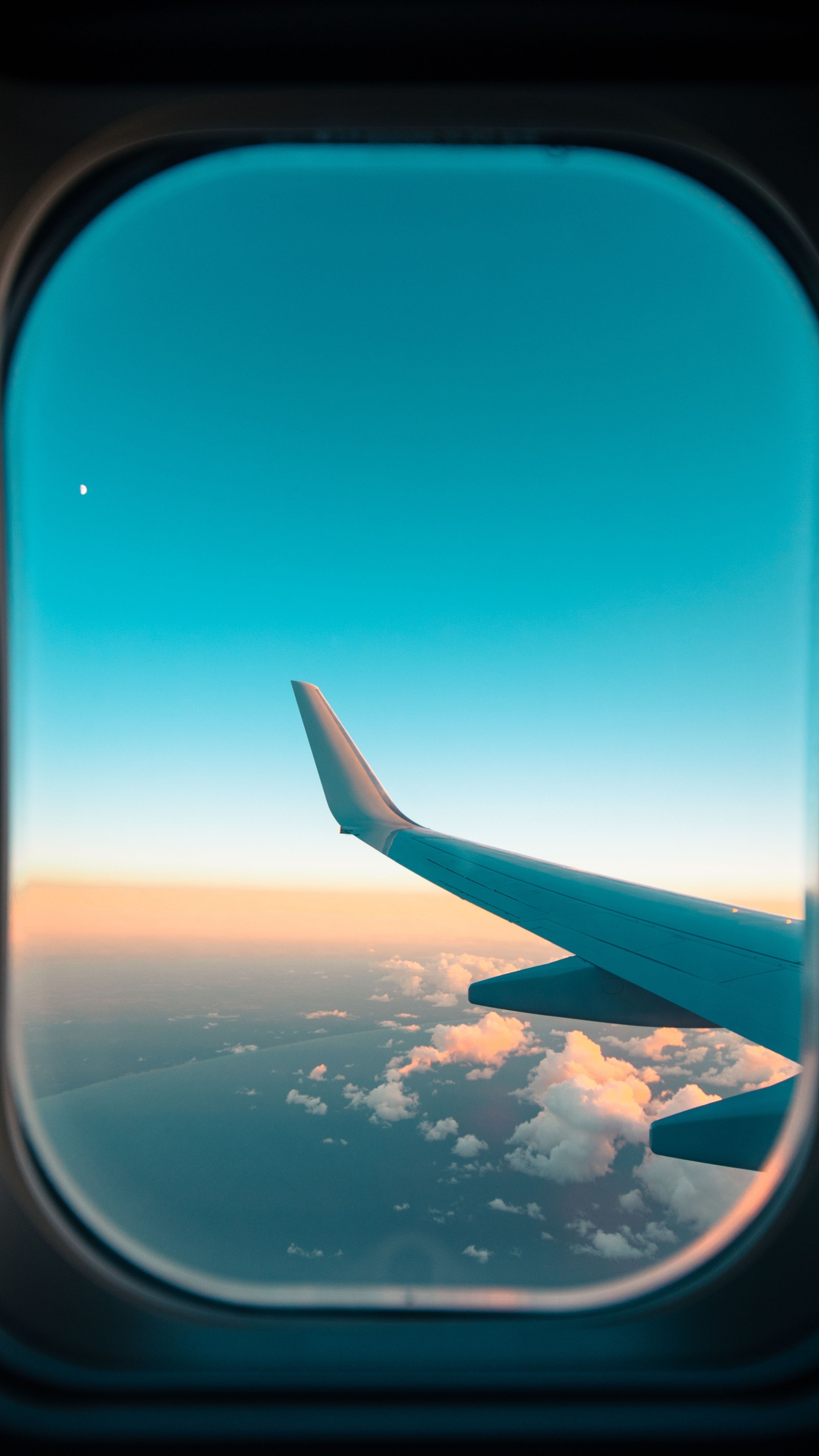 Aile D'avion Blanche et Bleue Pendant la Journée. Wallpaper in 1440x2560 Resolution