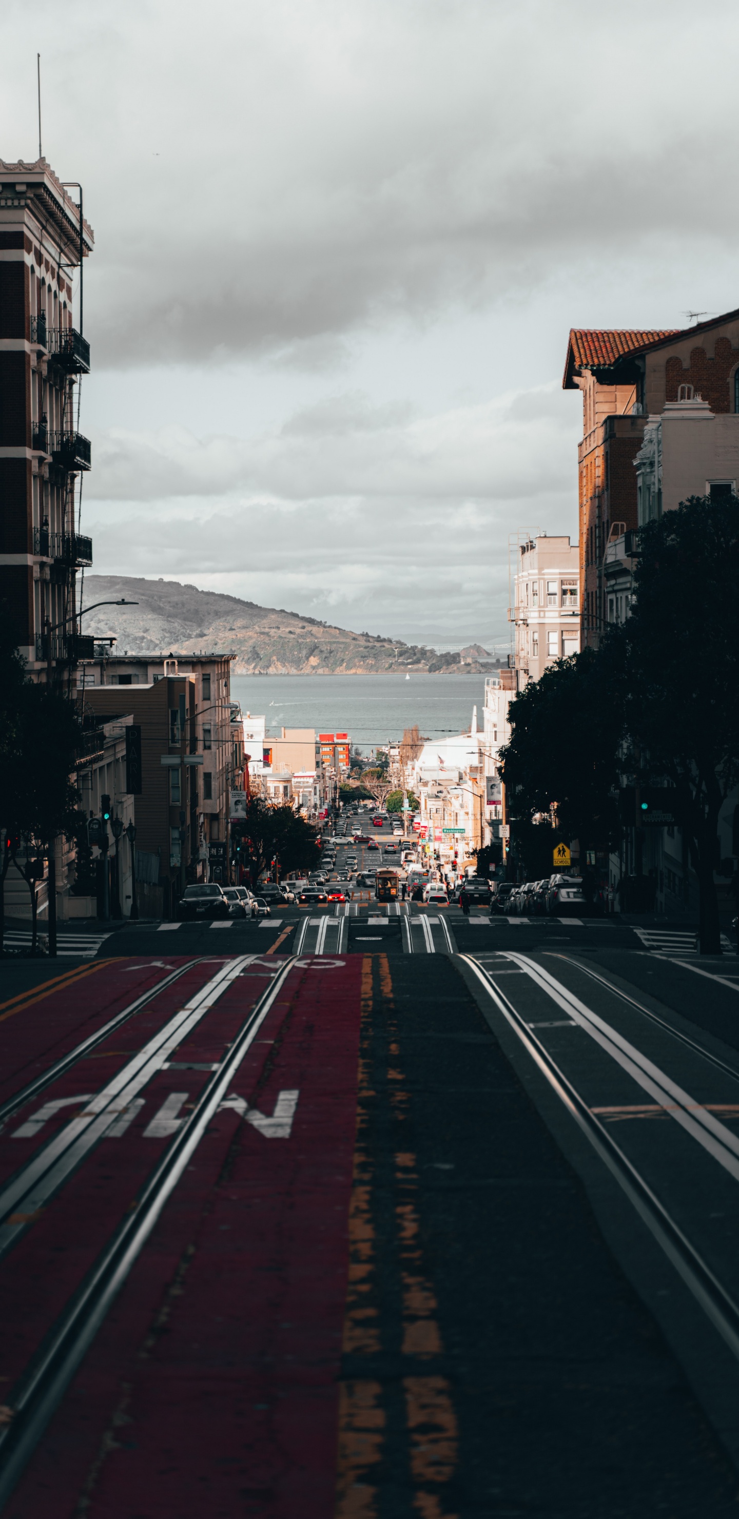 San Francisco, Bâtiment, Surface de la Route, Asphalt, Quartier Résidentiel. Wallpaper in 1440x2960 Resolution
