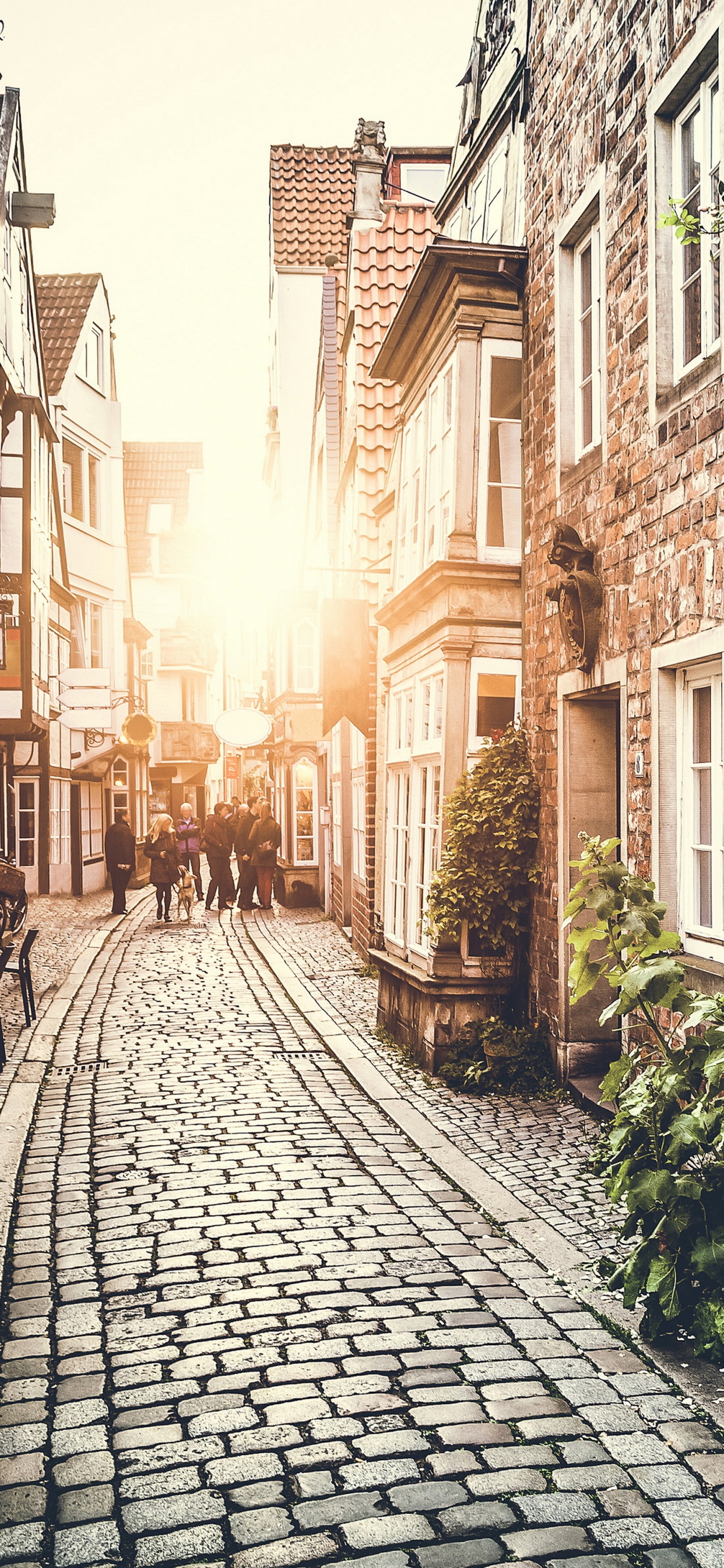 Calle Vacía Entre Edificios Durante el Día. Wallpaper in 1242x2688 Resolution
