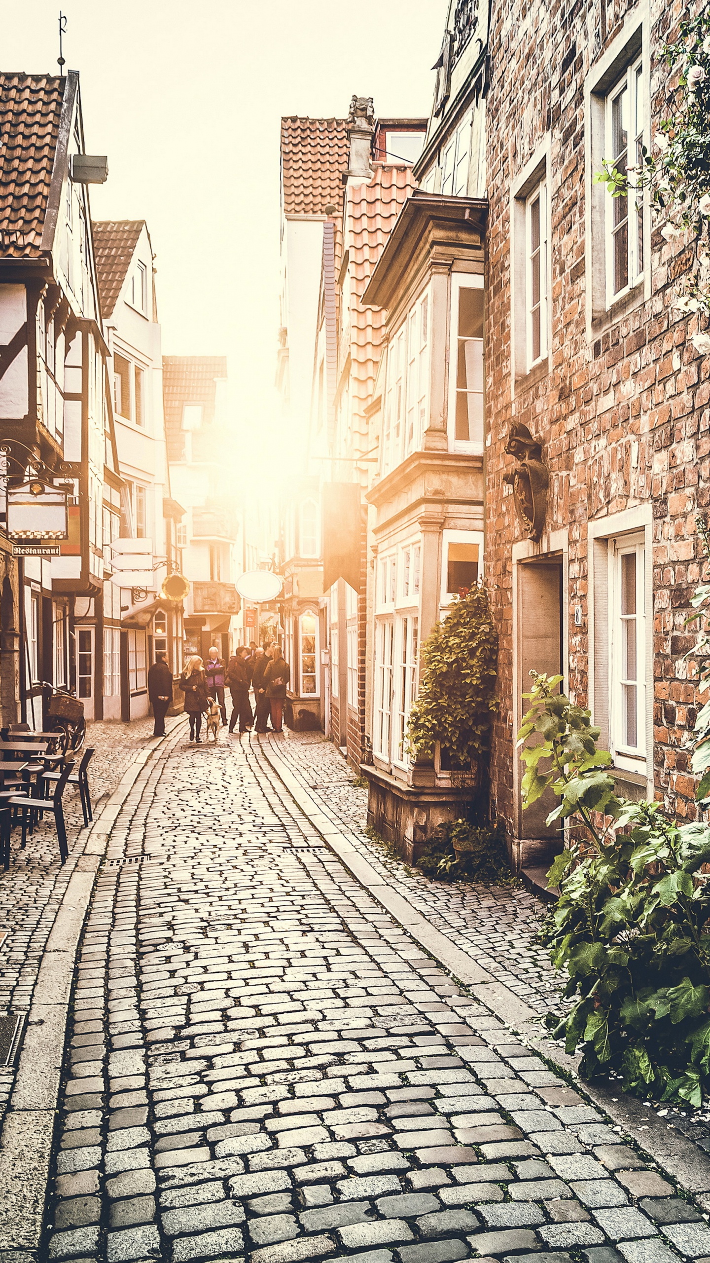 Rue Vide Entre Les Bâtiments Pendant la Journée. Wallpaper in 1440x2560 Resolution