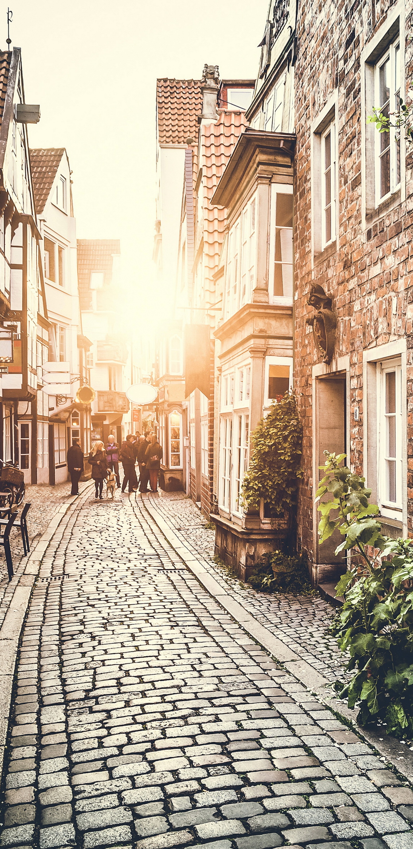 Rue Vide Entre Les Bâtiments Pendant la Journée. Wallpaper in 1440x2960 Resolution