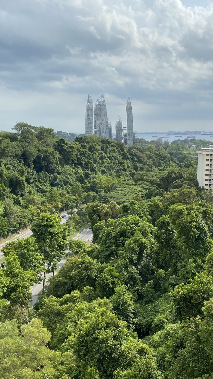 Vegetation, Nature, Cloud, Tower Block, Biome. Wallpaper in 720x1280 Resolution