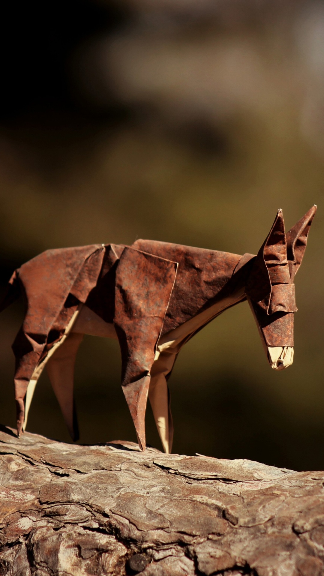 Cheval Brun Sur Roche Brune. Wallpaper in 1080x1920 Resolution