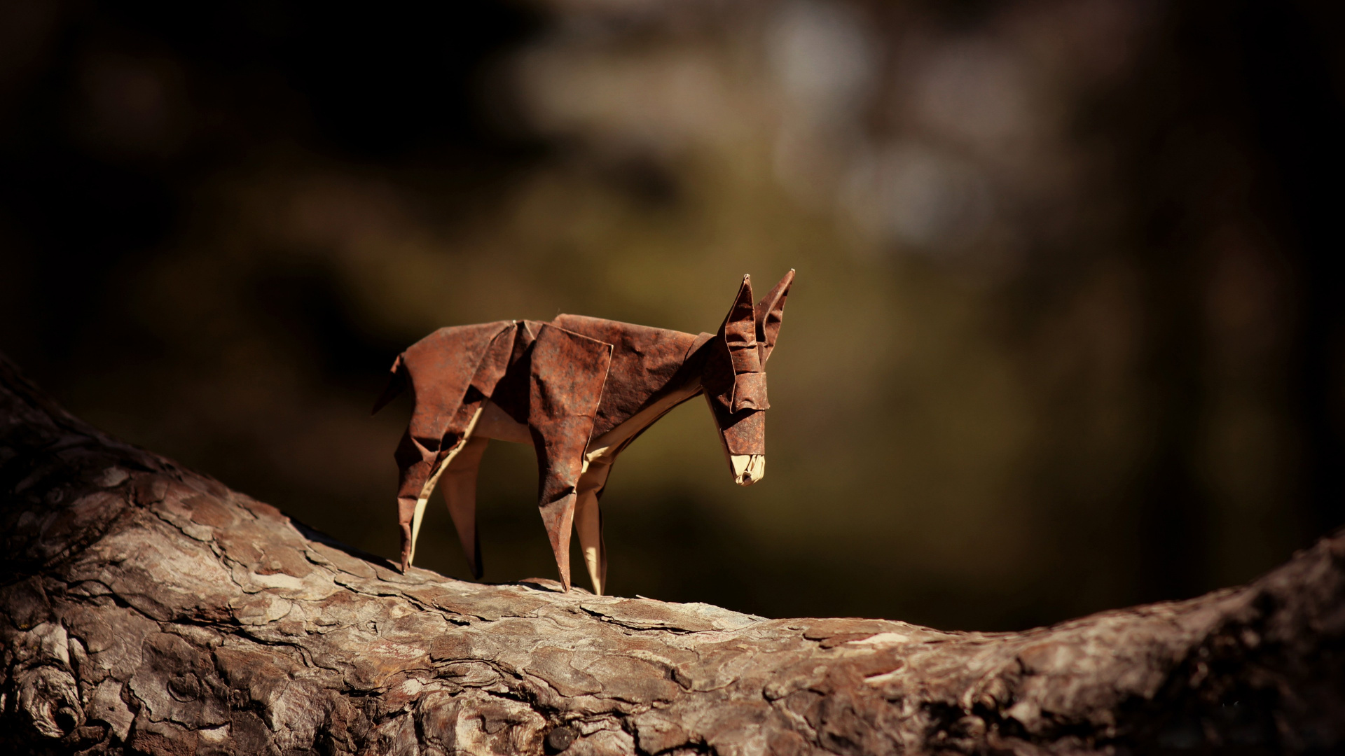 Brown Horse on Brown Rock. Wallpaper in 1920x1080 Resolution