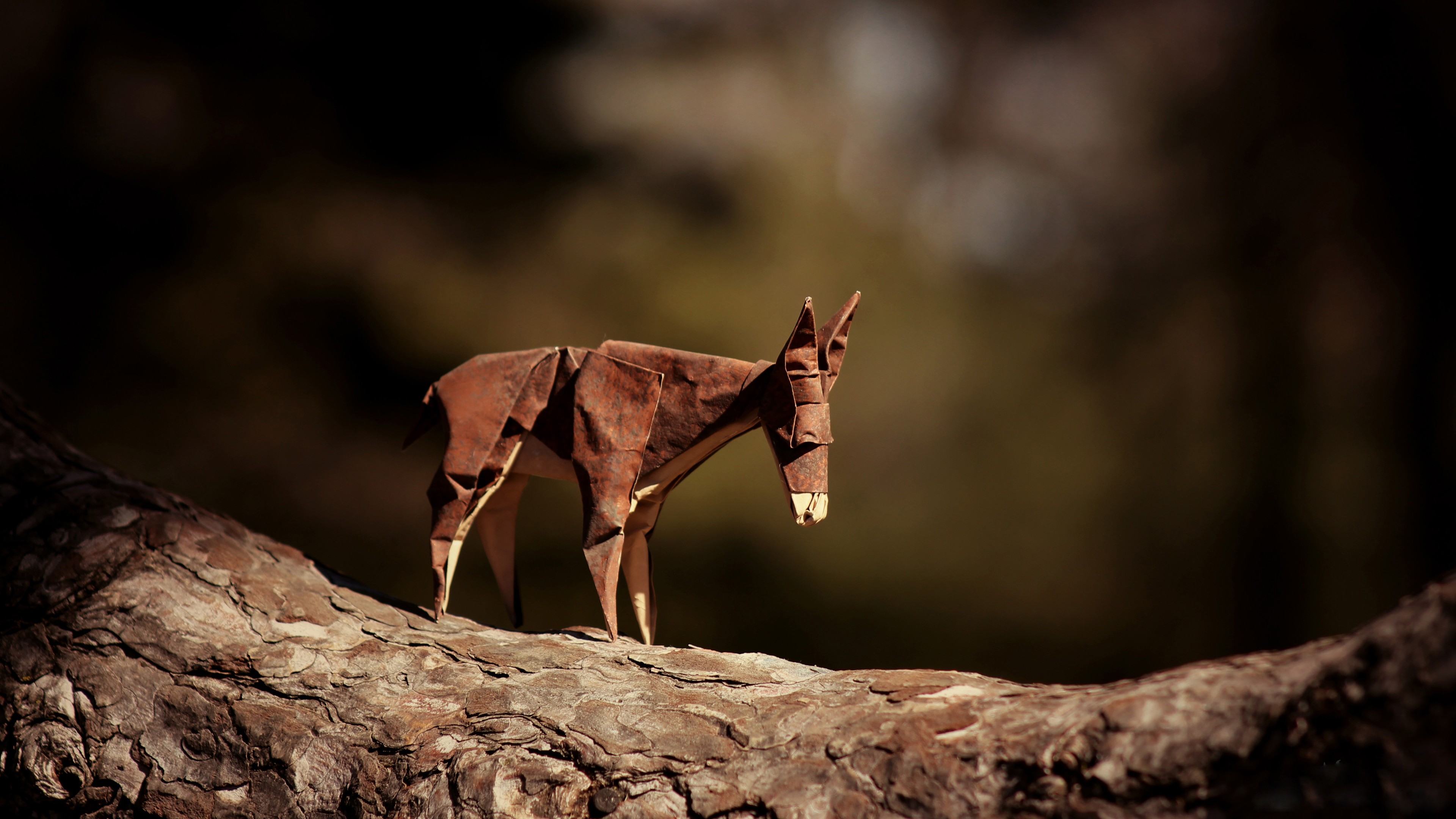 Brown Horse on Brown Rock. Wallpaper in 3840x2160 Resolution