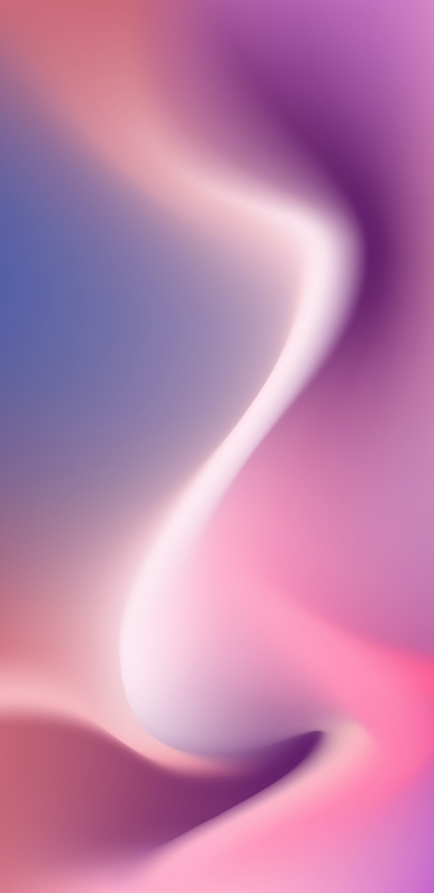 Fermer, Purple, Pink, Violette, Magenta. Wallpaper in 1440x2960 Resolution