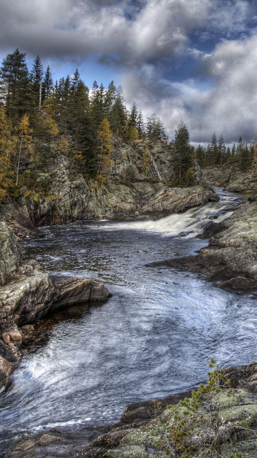 Árboles Verdes Junto al Río Bajo Las Nubes Blancas y el Cielo Azul Durante el Día. Wallpaper in 1080x1920 Resolution