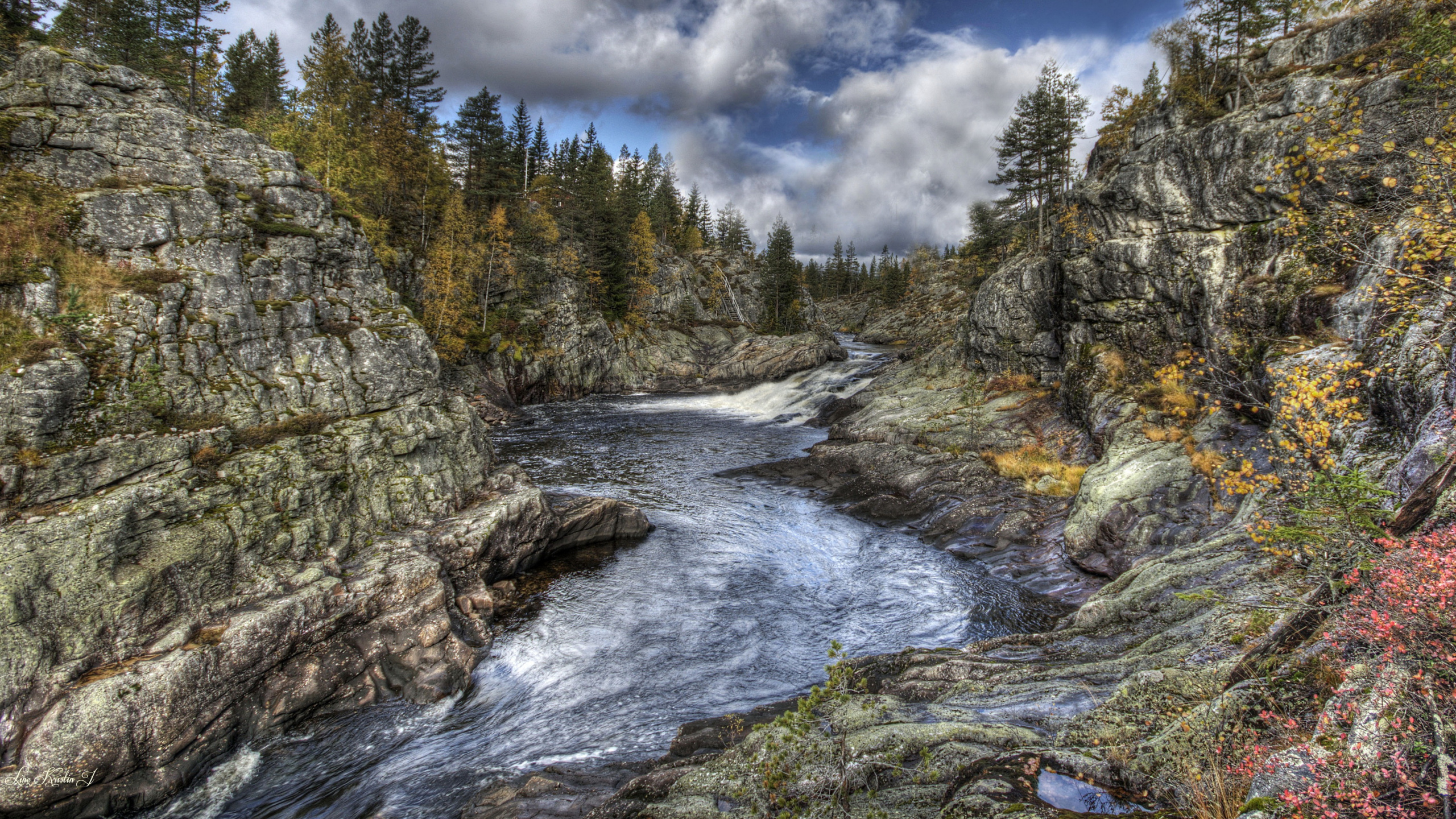 Green Trees Beside River Under White Clouds and Blue Sky During Daytime. Wallpaper in 2560x1440 Resolution