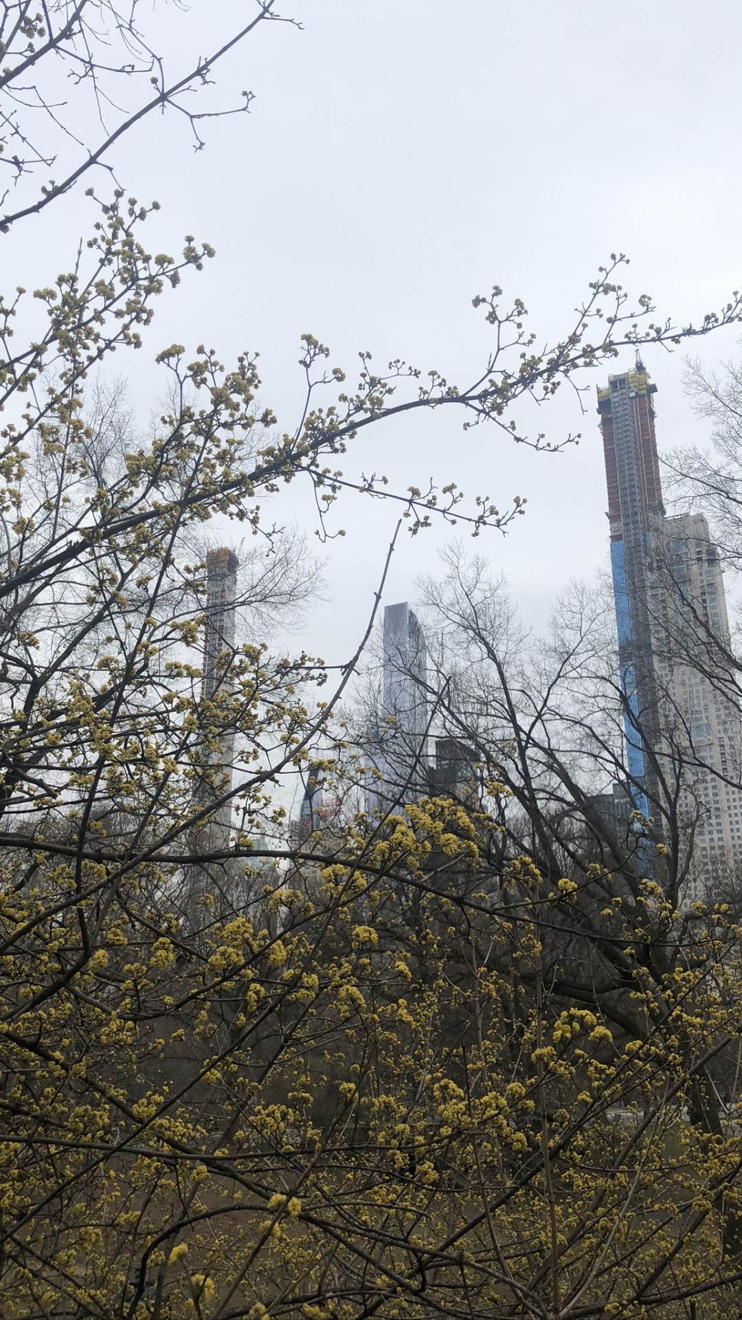 Feuille, Sciences, Plante, Physique, Rameau. Wallpaper in 1080x1920 Resolution