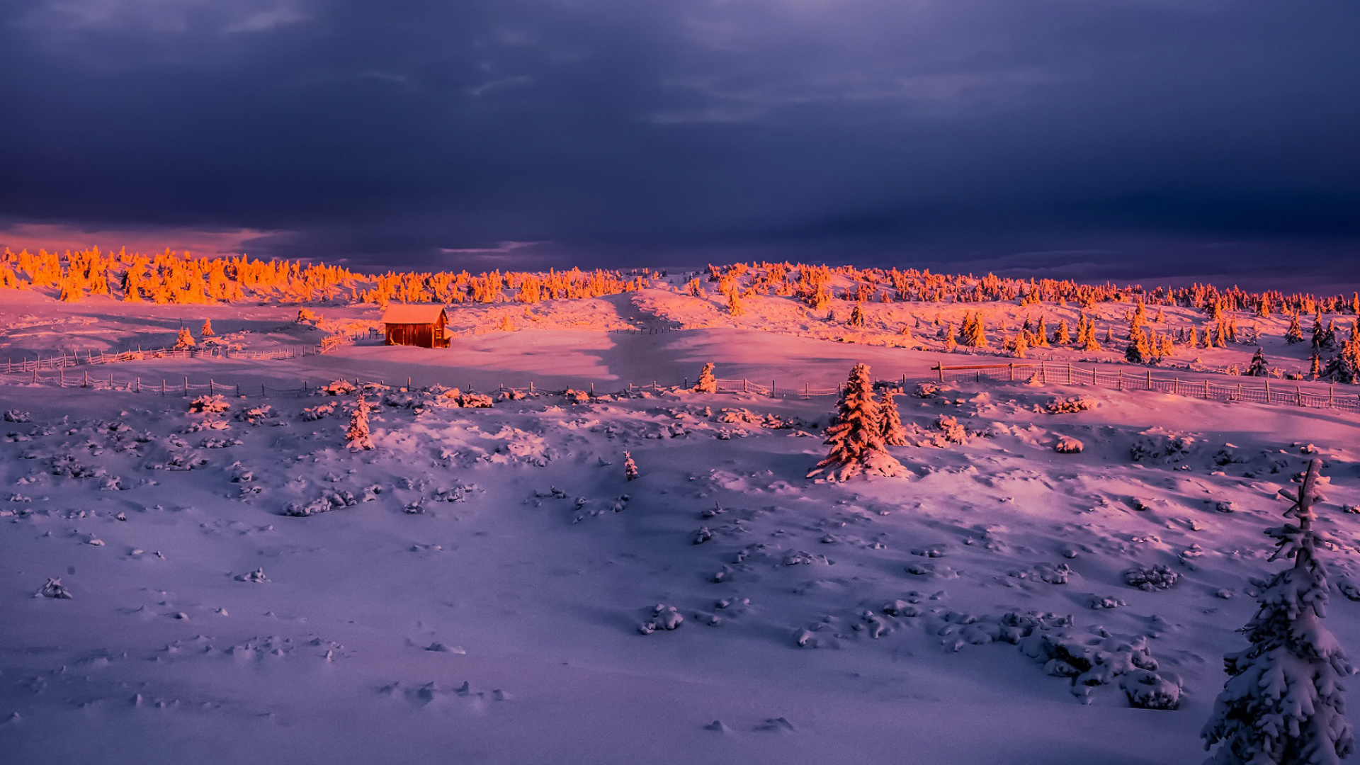 冻结, 地平线, 早上, 天空, 日出 壁纸 1920x1080 允许