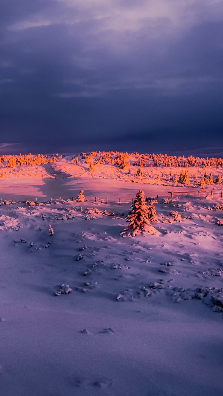 冻结, 地平线, 早上, 天空, 日出 壁纸 720x1280 允许