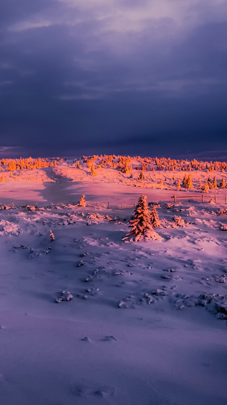 Parasols Blancs et Bleus Sur la Plage Pendant la Journée. Wallpaper in 750x1334 Resolution
