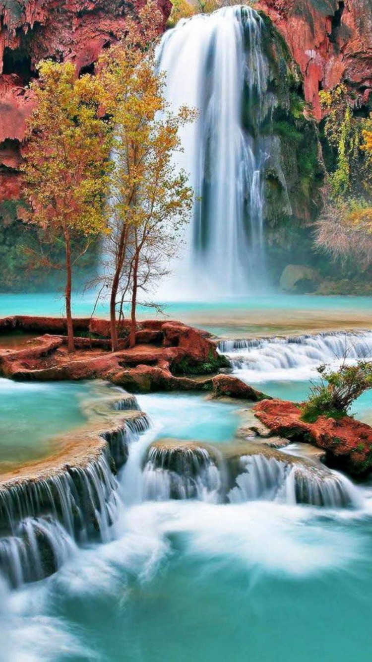 Cascadas en Medio Del Bosque. Wallpaper in 750x1334 Resolution