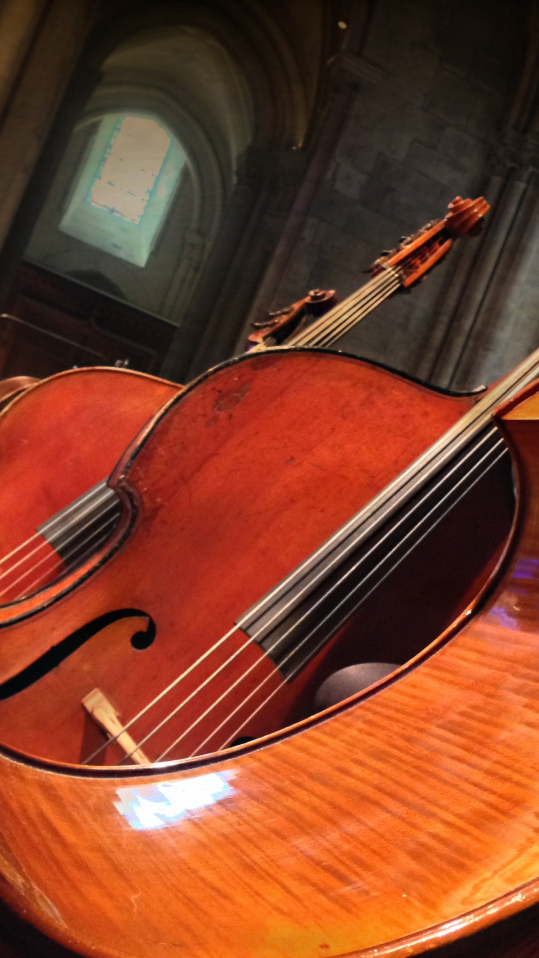 低音提琴, Violone, Viola, 低音吉他, 乐团 壁纸 1080x1920 允许